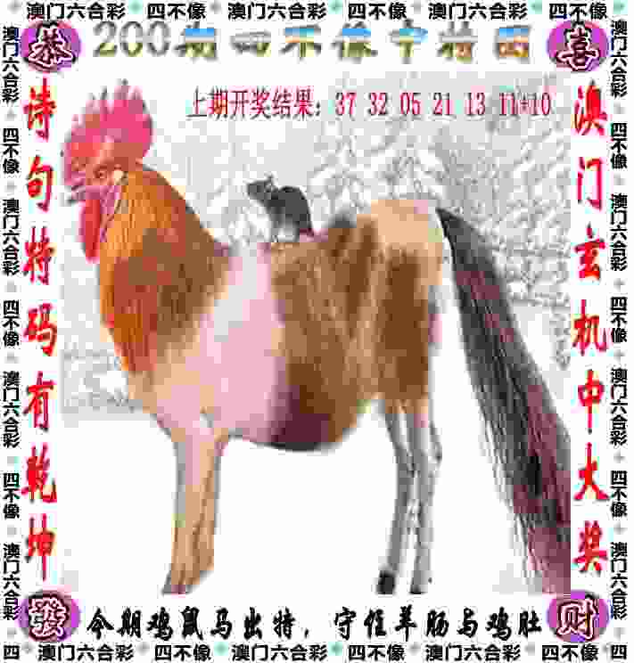 中足联：中超新赛季上座人数提升两成多